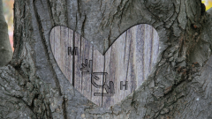 Baum