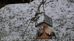 Lektion2Vogelhaus