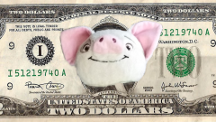 Puha-dollar