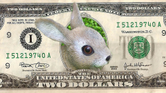 zwei-dollar2