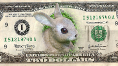 zwei-dollar
