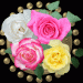 Ein Rosenbutton