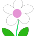 4.5 Blume
