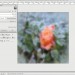 Gimp 2.10.22 - Verschmelzen - statt alt Schmelzen