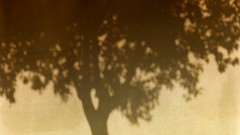 DSC03003-2-