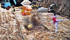 Baustelle5