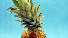 ananasfrucht