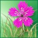 avatar_test