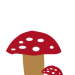 2Pilze