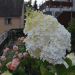5_Bilder